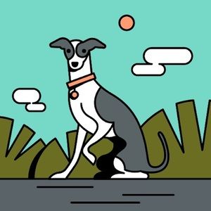 Meet your Posher, Ana maria